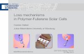 Loss mechanisms in Polymer-Fullerene Solar Cells