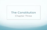 Constitution chapter three copy