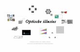 10 soorten optische illusies - door Patrick Verbessem