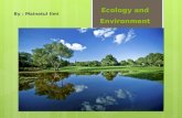 Ecology and environment