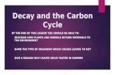 Decay and the carbon cycle