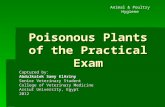 Poisonous plants of the practical exam