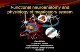 Functional neuroanatomy and physiology of masticatory system