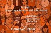 Subcultures and youth organizations