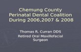 Chemung County Perinatal Dental Coalition During 2006, 2007, 2008