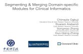 Segmenting & Merging Domain-specific Modules for Clinical Informatics