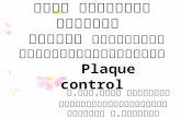 Plaque control53