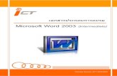 Microsoft Word2003