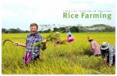 Thai Rice Farming