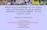 Advancing knowledge on the costs, risks and benefits of using carbon markets to finance REDD+ at the country level