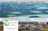 Direito ambiental legislacao_principios_curso_resumo_apostila