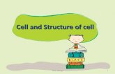 Cell and structure of cell