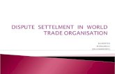 Dispute  settelment  in  world trade organisation   copy
