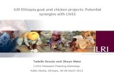 ILRI Ethiopia goat and chicken projects: Potential synergies with LIVES