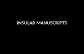 Insular Manuscripts