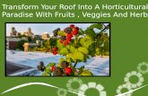 Roof Garden with ruits herbs and veggies