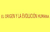 EL ORIGEN Y LA EVOLUCION HUMANA