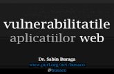 Sabin Buraga – Vulnerabilitatile aplicatiilor Web