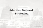 091002 Draft: Adaptive Network Strategy