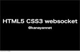 Html5 css3 websocket