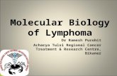 Molecular pathology of  lymphoma by dr ramesh