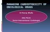 Cardiotoxicity 1