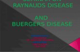 Seminar on buergers disease and raynauds disease