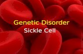 Genetic disorder: Sickle Cell Anemia