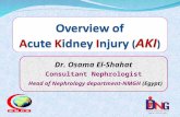 Acute kidney injury dr. osama el shahat