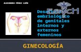 Desarrollo embriologico de genitales femeninos