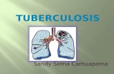 Tuberculosis sandy akemi upao 2010 ii trujillo-peru