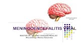 clase meningoencefalitis viral