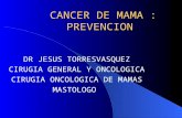 Cancer de mama 1 18