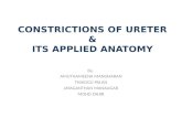 Constrictions of ureter