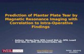 Prediction of Plantar Plate Injury using MRI