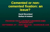 Beverland D. Cemented Or Non Cemented Fixation, An Issue