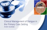 Clinical management of dengue in the primary care