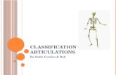 Classification of articulations