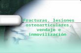 Fracturas, lesiones osteoarticulares, vendaje e inmovilización