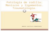 Patología de rodilla: Meniscos y Ligamentos.