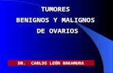 Tumores Benignos Y Malignos De Ovario