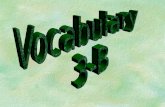 Chapter 3B-Vocabulary