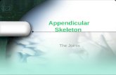 Appendicular Joints