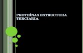 Proteínas estructura terciaria