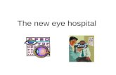 The New Eye Hospital