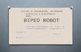Biped robot - CERD Presentation