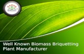 Well known biomass briquetting plant manufacturer