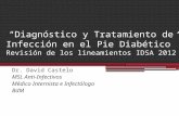 Diagnóstico y Tratamiento de Infección en el Pie Diabético - Lineamientos IDSA 2012