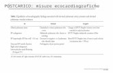 VALUTAZIONE ECOCARDIOGRAFICA del VENTRICOLO DESTRO 2 - right ventricle echo examination part 2