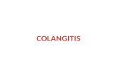 Colangitis 121114220708-phpapp02
